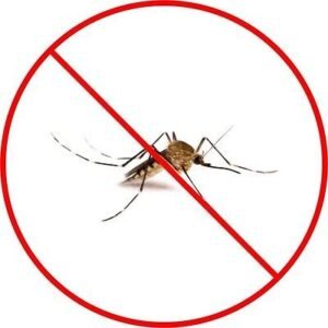 Industrial Insect Mosquito Bug Propane Fogger Sprayer - Image 2