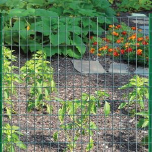 Fencing Garden Craft 24in H x 50ft L Green Vinyl Coated Steel Wire Fence - Image 6