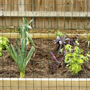 Fencing Garden Craft 24in H x 50ft L Green Vinyl Coated Steel Wire Fence - Image 12