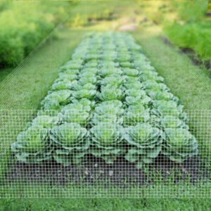 Hardware Cloth Galvanized Wire Welded Mesh Fence Roll+Gloves - Image 3