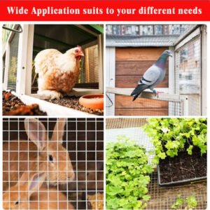 Hardware Square Metal Wire Roll Galvanized Welded Chicken Wire Mesh Fence - Image 11