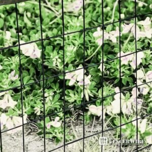 Fencer Wire Vinyl Coated 16 Gauge Welded Fence Wire Roll - Image 5