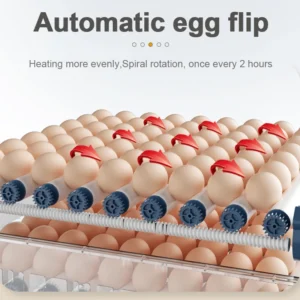 256 Eggs Drawer Automatic Incubator for Egg Brooder Bird Chick Chicken Accessories Smart Incubator Farm Equipment - Image 3