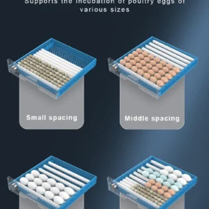 256 Eggs Drawer Automatic Incubator for Egg Brooder Bird Chick Chicken Accessories Smart Incubator Farm Equipment - Image 4